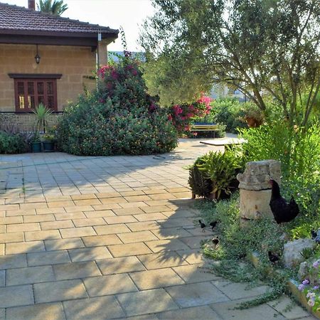 Golden Palms Guest House & Cafe Famagusta  Exteriör bild
