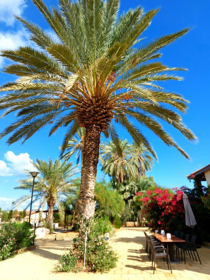 Golden Palms Guest House & Cafe Famagusta  Exteriör bild