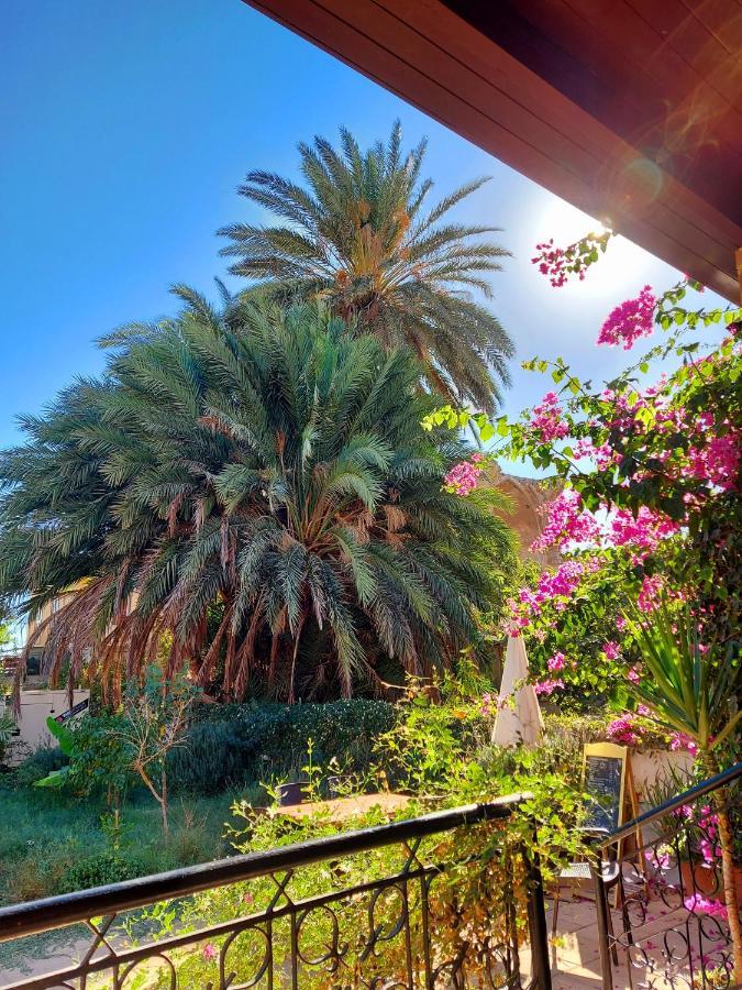 Golden Palms Guest House & Cafe Famagusta  Exteriör bild