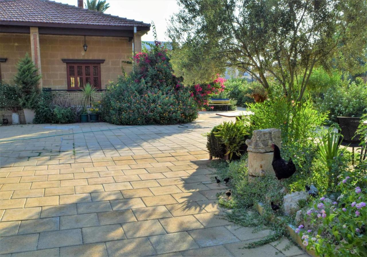 Golden Palms Guest House & Cafe Famagusta  Exteriör bild